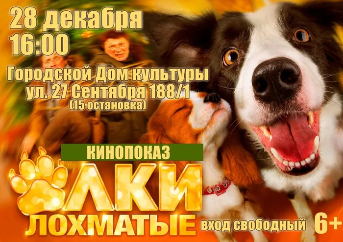 33b32e03-8e65-42a4-a605-acf9e92aa313