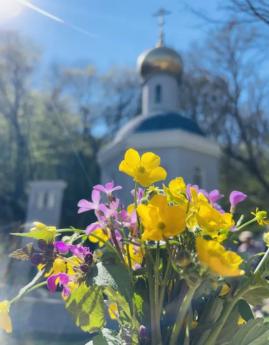Украинко Семен 1